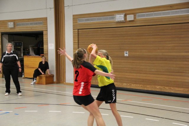 2018_01_13 Landesliga J15
